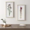 Dried Flower 2-piece Shadow Box Wall Decor Set