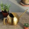 1L Stainless Steel Watering Pot Gardening Potted Small Watering Can With Handle For Watering Plants Flower Garden Tool