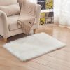 1pc, Wool Carpet Long Fur Carpet Indoor Living Room Floor Mat 23.62*35.43inch Acrylic 80% Polyester 20% Suede Fleece Bottom Long Fur Carpet